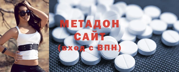 гидра Горняк