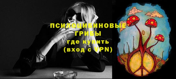гидра Горняк