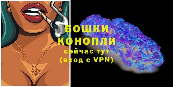 гидра Горняк