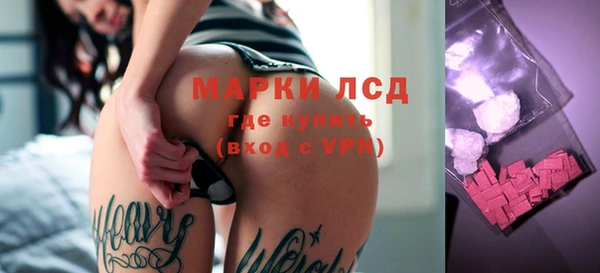 гидра Горняк