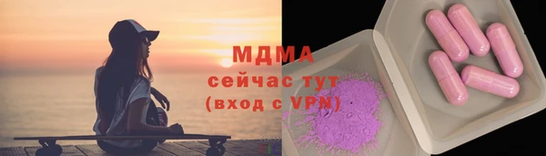 гидра Горняк