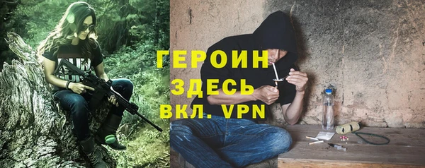 гидра Горняк