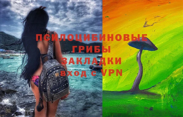 гидра Горняк