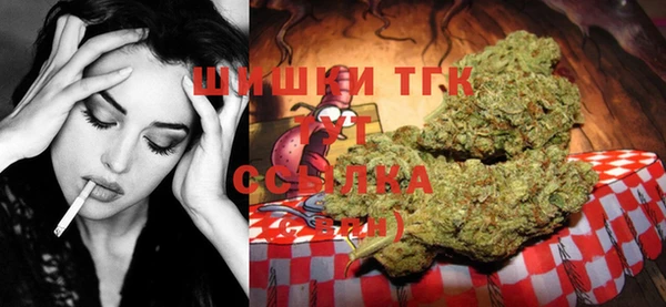 гидра Горнозаводск