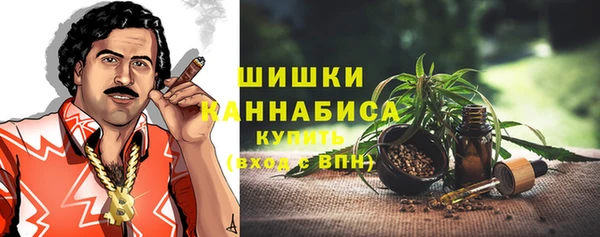 гидра Горняк