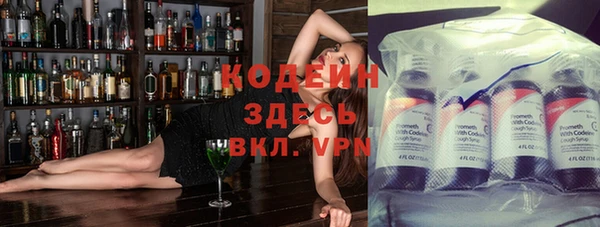 гидра Горняк