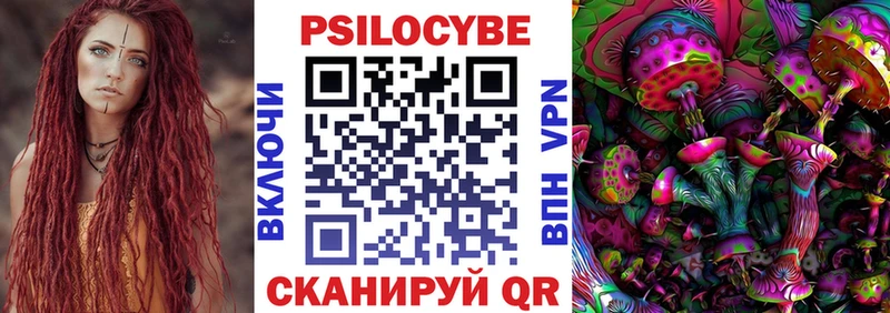 купить наркотик  Кимовск  Псилоцибиновые грибы MAGIC MUSHROOMS 